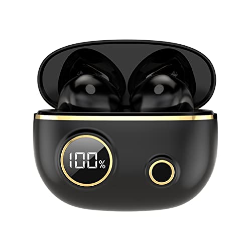 PRO100 TWS Bluetooth 5.2 Noise Canceling Waterproof Earphones 9D Stereo Sports Headphone with Charging Case (Black)