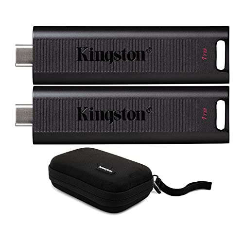 Kingston 1TB DataTraveler Max USB 3.2 Gen 2 Type-C Flash Drive (2-Pack) with Storage Case Bundle (3 Items)