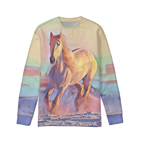ZPINXIGN Horse Boys Crewneck Sweatshirts Girls Long Sleeve Shirts Fall Outfits Teens Kids Sweater Jumper Size 8-10 Active T-shirts Rainbow Animal Teenis Sport Clothing