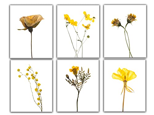 WESTBROOK DESIGN STUDIO Yellow Wildflowers Photo Wall Art Prints – Set of 6 – 8×10 UNFRAMED Farmhouse Aesthetic Floral Decor.