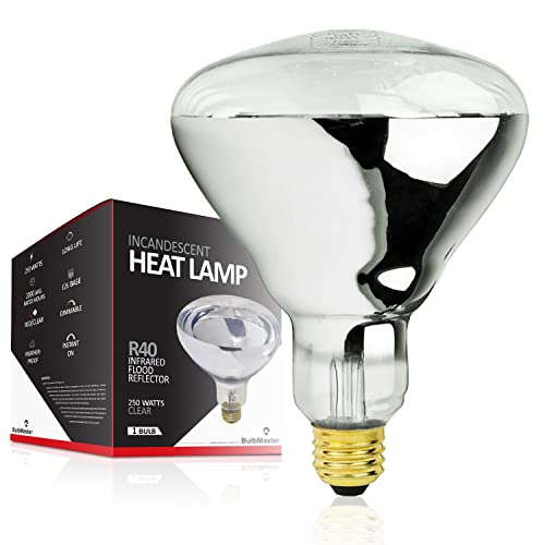 BULBMASTER 250 Watts R40 Clear Heat lamp Light Bulbs Infrared Flood Incandescent 250R40/HR Medium E26 Base 1 Pack
