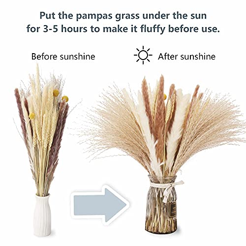YUFFLYOW 65 pcs Natural Dried Pampas Grass,17In Pampas Grass Decor Tall Fluffy for Flower Arrangements Boho Home Decor,Pampas Grass Plants for Home Garden Wedding Party Decor, PG24 | The Storepaperoomates Retail Market - Fast Affordable Shopping