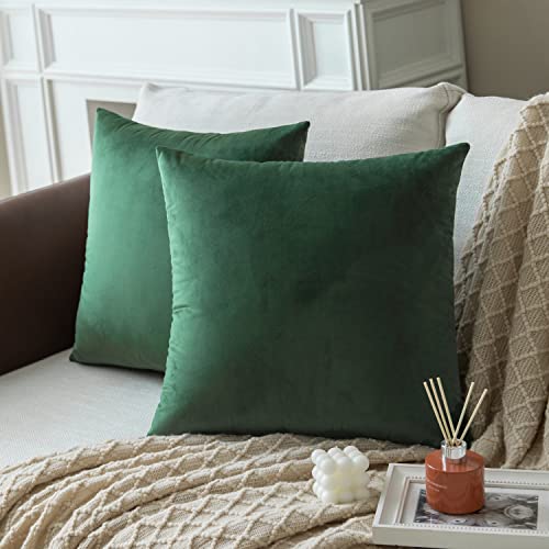 Colormz Set of 2 Hunter Green Colored Solid Velvet Throw Pillow Covers, Cozy Soft Accent Pillow Cases for Sofa Couch Bed and Living Room – 18″x18″
