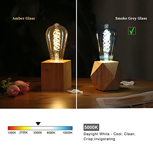 ST58 Vintage LED Edison Bulb ,4.5W Daylight 5000K, Antique Flexible Spiral LED Filament Light Bulb,300Lm Dimmable with 80+ CRI , 4.5W Equivalent to 45W, E26 Base,Smoky Grey Glass(4.5W-5000K-6 Pack) | The Storepaperoomates Retail Market - Fast Affordable Shopping