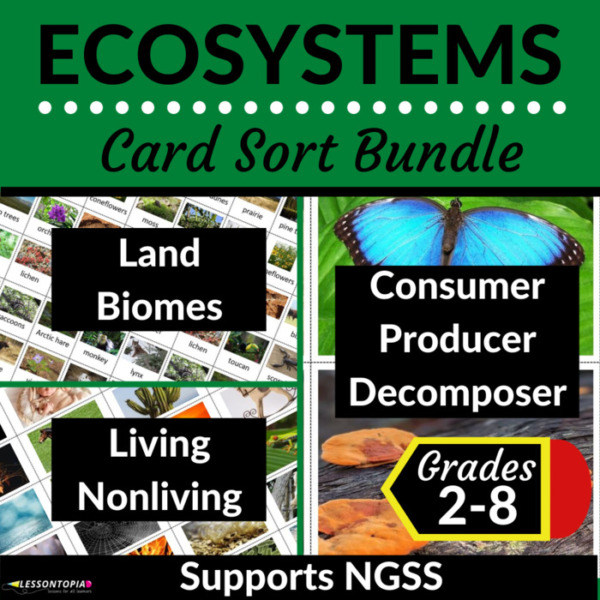 Ecosystems Activities Bundle