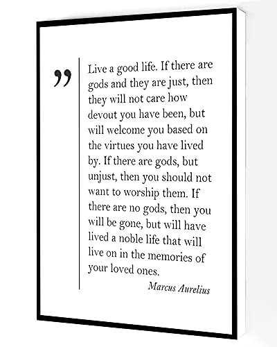 Live A Good Ilfe Canvas Wall Art,Marcus Aurelius Quote Poster,Philosophy Quotes Prints Modern Artwork Painting For Living Room Office Home Decoration 12”x16” Framed