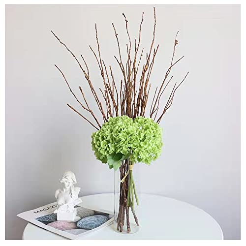 5PCS Artificial Lifelike Curly Willow Branches Decorative Dried Twigs, 25.9 Inches Fake Bendable Sticks Plastic Vines/Stems for DIY Greenery Plants Vases Home Office Party Decoration | The Storepaperoomates Retail Market - Fast Affordable Shopping