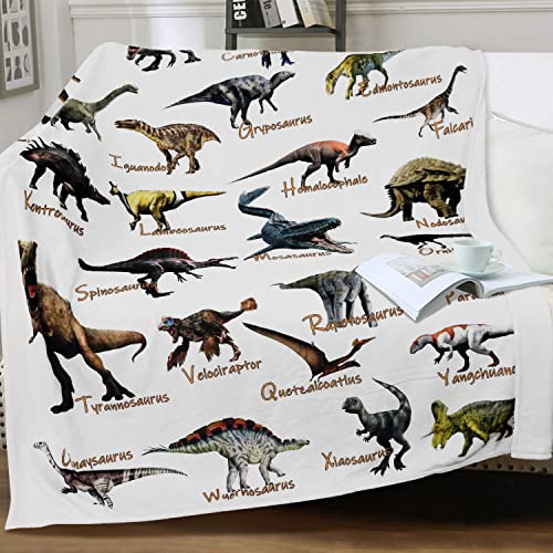 Dinosaur Blankets for Kids Alphabet Dinosaur Throw Blanket – Dinosaur Gifts for Dinosaur Fans Can Read – Soft Lightweight and Cozy Full Season Flannel Kids Blanket (Dino Blanket 60x80Inch)