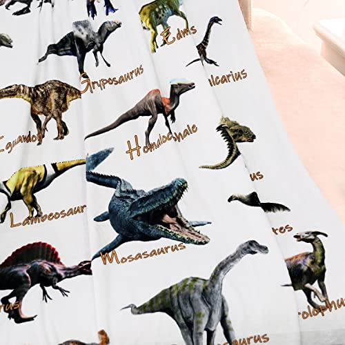Dinosaur Blankets for Kids Alphabet Dinosaur Throw Blanket – Dinosaur Gifts for Dinosaur Fans Can Read – Soft Lightweight and Cozy Full Season Flannel Kids Blanket (Dino Blanket 60x80Inch) | The Storepaperoomates Retail Market - Fast Affordable Shopping