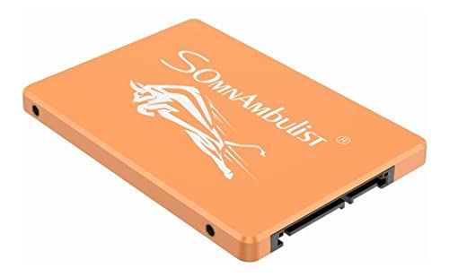 Somnambulist SSD 480gb 2tb 240gb 120gb Solid State Drive ssd960gb 60gb Suitable for Laptop and Desktop Computer (Brown Cow 60GB)