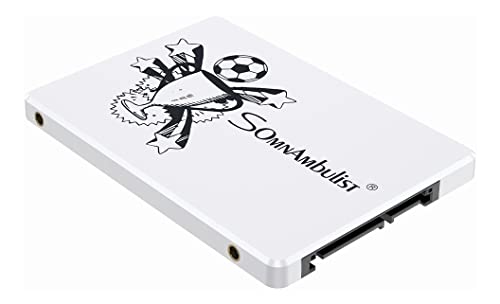 Somnambulist 2.5 sata ssd 120gb 240gb 480gb 960gb 2tb HDD ssd 60gb Solid State Drive Suitable for Desktop Laptop (White Trophy 480GB)