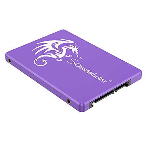 Somnambulist Internal Hard Drive SSD 60GB 120GB 240GB 960GB 2TB SATA3 2.5 inch SSD 480GB SSD (Purple Dragon 240GB)