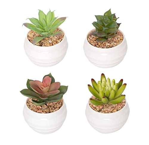 GOODSDECO Artificial Succulent Plants in Pots, Fake Plants for Indoors, Home Garden Decor, Cactus Plants Artificial, Fake Cacti, Faux Succulents, Set of 4