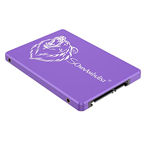 Somnambulist SSD SATAIII Hard Drive 2.5 SSD 120GB 480GB 512GB Hard Drive Internal Solid State Drive (Purple Bear Head 60GB)