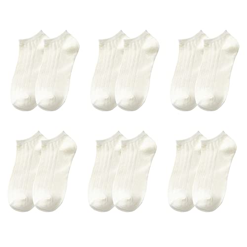 Lovor Women Casual Athletic Ankle Socks, 6 Pairs Cushioned Breathable No Show Socks Soft Low Cut Socks White, One Size