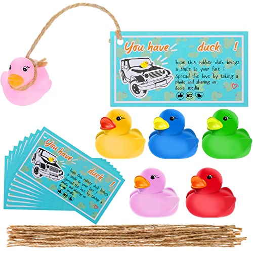 60 PCS You’ve Been shunned Cards with Rubber Ducks and Strings, Small Rubber Duckies with Duck Card Tags, Mini Rubber Duckies for Car Street Toy Party Game Decor, Assorted Colors (Simple Style, Paper)