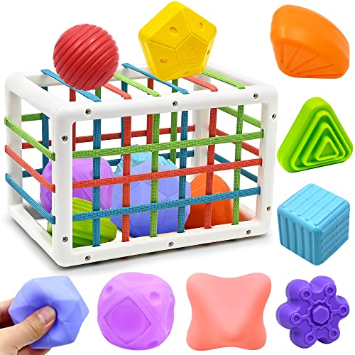AiTuiTui Montessori Baby Toys for 1 Year Old Boy Girl Gifts, Shape Sorter Baby Toys 6 12 18 Months Early Learning Sensory Bin with 5 Soft Textured Balls, Toddlers Toy for Age 1 2 3 Autistic Children