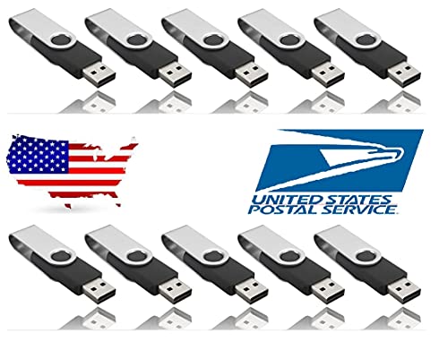 USA, (Black) Wholesale 10 Pack U Disk Bulk Pack USB Flash Drives Swivel Thumb Drive Memory Stick (10 Pack – 16MB (Not GB))
