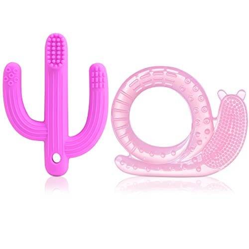 Baby Teething Toys Solid Silicone Soft Snail Double-Sided Bristles Teether for Babies 0-6/6-12 Months Chew Toys, Freezer BPA Free Soothe Sore Gums Newborn Infant Gifts, 2 Packs Pink, Hygienic Case