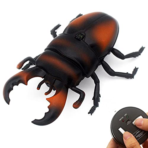 Tipmant RC Beetle Remote Control Insects Realistic Electronic Simulation Climber Animal Prank Toy Vehicle Kids Birthday Gifts (Orange)