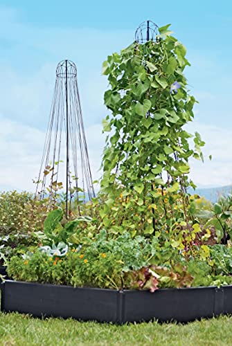 Gardeners Supply Company Garden Maypole Plant Support Structures | Elegant Garden Trellis Support for Climbing Plants Vegetables and Vines | Easy to Set up & Space Saver Pole Bean Trellis – 83-1/2″ H