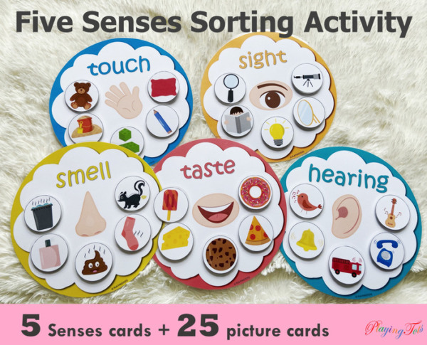 Five Senses Sorting Activity, Learn 5 Senses, Toddler Busy Bag, Preschool and PreK Activity
