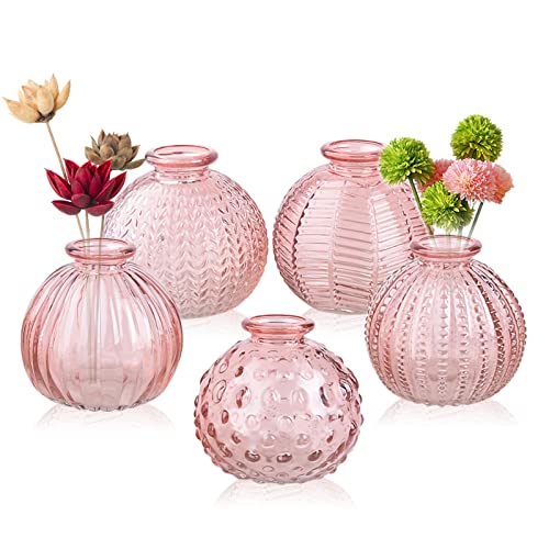 ELEGANTTIME Single Glass Bud Vase Pink Glass Vases for Centerpieces Decor Glass Flower Vase Bottle with Crok Wire Iron Handle Design Perfect for Cafes, Office Table, Home and Garden