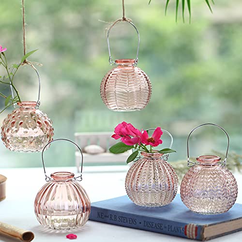 ELEGANTTIME Single Glass Bud Vase Pink Glass Vases for Centerpieces Decor Glass Flower Vase Bottle with Crok Wire Iron Handle Design Perfect for Cafes, Office Table, Home and Garden | The Storepaperoomates Retail Market - Fast Affordable Shopping