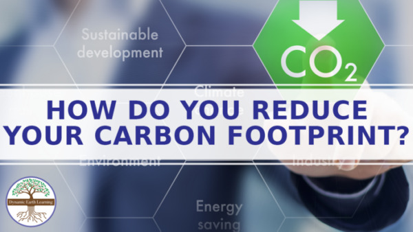 How Do You Reduce Your Carbon Footprint? Science/ Environment Worksheet