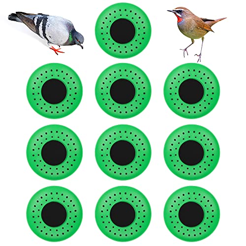 DQITJ 10 Pcs Plastic Small Bird Nests Pigeon Nesting Bowls Quails Breeding Hatching Nest