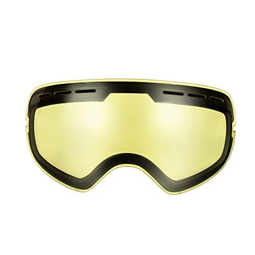BENICE Ski Goggles, Snowboard Goggles Detachable Lens