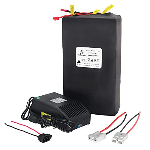 60V 50AH LiFePO4 / Lithium Ebike Battery Pack Lithium Polymer Pouch Cell with 5A Charger and 50A BMS Kit for Electric, Scooter, Bicycles, Motorcycle 500-3000W Motor(2-5 Working Days Delivery)