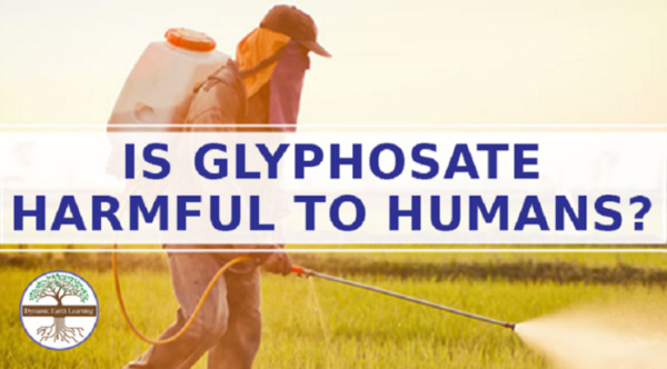 Glyphosate What is It? Is Glyphosate Harmful to Humans? Science Worksheet