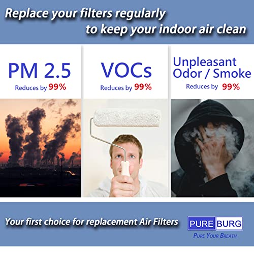 PUREBURG 2-Pack Replacement High-efficiency 3-IN-1 HEPA Filters Compatible with COLZER EPI-186 Air Purifier | The Storepaperoomates Retail Market - Fast Affordable Shopping
