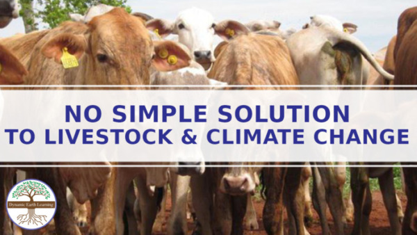 Farming and Climate Change – Agriculture Worksheet – Digital or Print