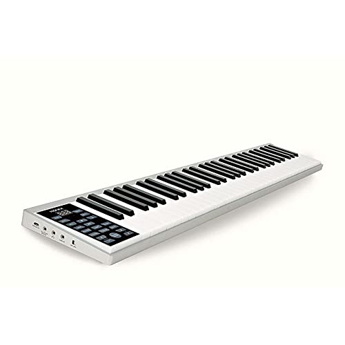 Portable 61 Keys Piano MIDI Output, Digital Electronic Keyboard – Record and Play, 128 Tones and Rhythms, 14 Demo Songs, Metronome, Drum Kit, Sustain and Vibrato Functions