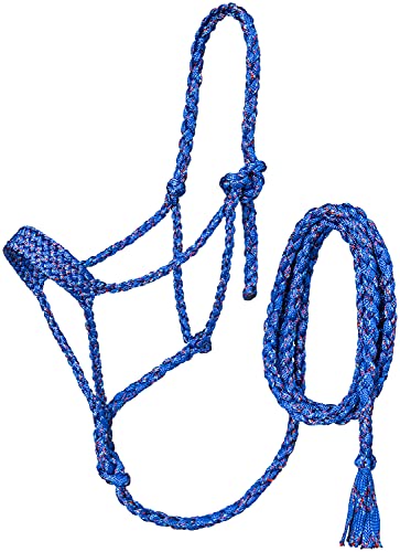 JT International 50-9610-499 Royal funfetti Mule Tape Halter/Lead | The Storepaperoomates Retail Market - Fast Affordable Shopping