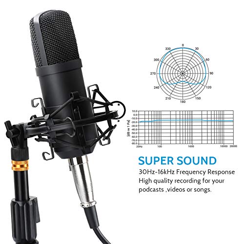 ZHENREN Professional Studio Condenser Microphone, Computer PC Microphone Kit with 3.5mm XLR/Pop Filter/Shock Mount for Professional Studio Recording Podcasting Broadcasting | The Storepaperoomates Retail Market - Fast Affordable Shopping