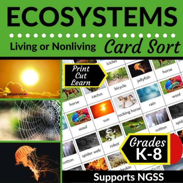 Living or Nonliving | Ecosystems | Card Sort