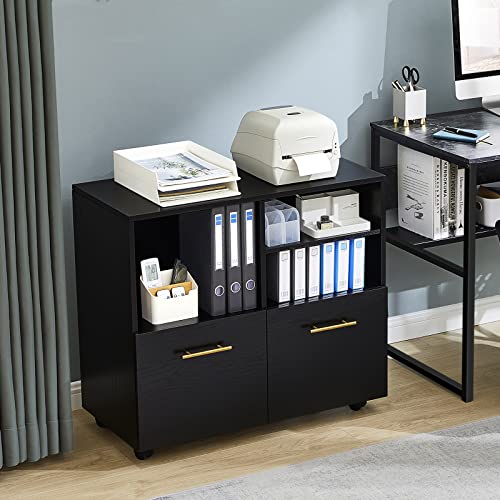 GreenForest Wooden File Cabinet, Mobile 2 Drawer File Cabinet on Wheels, Large Rolling Lateral Filing Cabinet, Printer Stand with Open Storage Shelves for Home Office, Black | The Storepaperoomates Retail Market - Fast Affordable Shopping