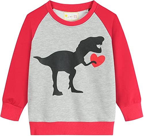 CM-Kid Toddler Boys Sweatshirts Dinosaur Heart Print Tops Pullover T-Shirts for Boy Autumn Winter Little Kids Sweater Clothes Size 3