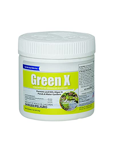 Green X – 1lb – String Algae Remover for Koi Ponds, Fountains, Waterfalls, Water Features- Safe for Fish Contact Algae Control- Treats up to 16,000 Gallons – Concentrated Granular Algaecide