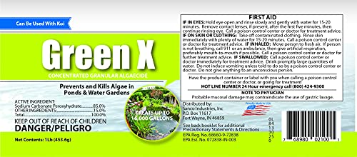Green X – 1lb – String Algae Remover for Koi Ponds, Fountains, Waterfalls, Water Features- Safe for Fish Contact Algae Control- Treats up to 16,000 Gallons – Concentrated Granular Algaecide | The Storepaperoomates Retail Market - Fast Affordable Shopping