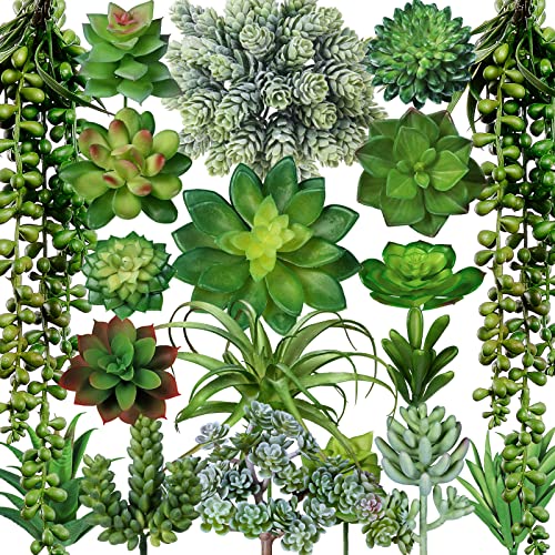 Winlyn 19 Pcs Assorted Artificial Succulents Plants Unpotted Small Green Aloe Hops Cactus String of Pearls Picks Fake Succulents Bulk for Succulent Garden Floral Arrangement Indoor Outdoor Home Decor