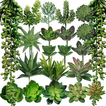Winlyn 21 Pcs Assorted Artificial Succulents Plants Unpotted Small Green String of Pearls Cacti Aloe Picks Fake Succulents Bulk for Succulent Garden Wreath Floral Arrangement Indoor Outdoor Home Decor | The Storepaperoomates Retail Market - Fast Affordable Shopping