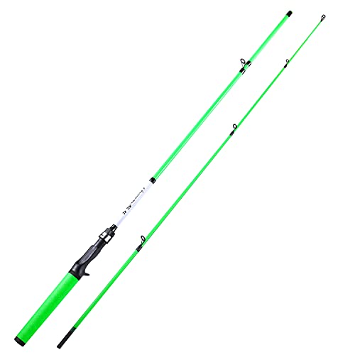 Sougayilang Fishing Rod, Composite Graphite & Glass Blanks Spinning Rod & Casting Rod Two-Piece Fishinig Pole with SuperPolymer Handle-Green-6ft Casting
