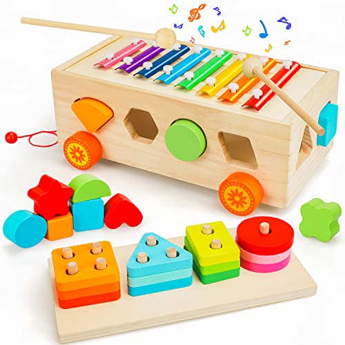 TOY Life Xylophone for Toddlers 1-3 Wooden Shape Sorter Toys for Toddler Baby Xylophone Set Baby Toy 12-18 Month Sorting Toys Learning Block Sensory Wood Montessori Toys for 1 Year Old Gifts