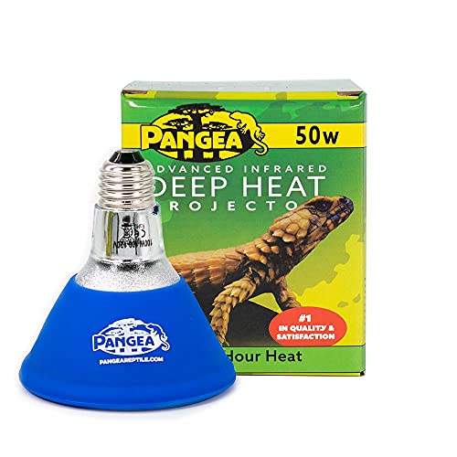 Pangea Deep Heat Projector 2-Pack for Reptiles (100 Watt)