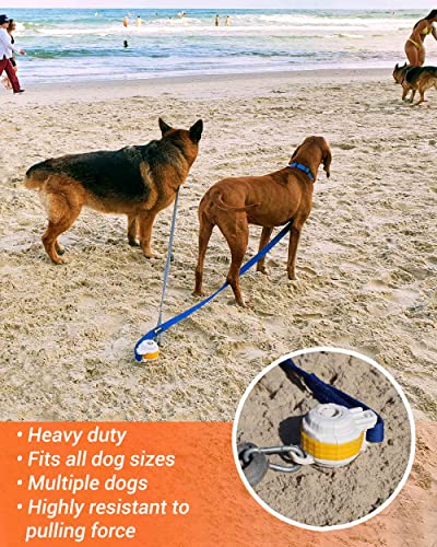 DIGGO Dog Stake- Essential Beach Accessory for All Dog Sizes,Unique 360° Rotating Head with a Smart Locking System and an Umbrella Sand Anchor, Heavy Duty Tie Out Stake, Designed for The Beach | The Storepaperoomates Retail Market - Fast Affordable Shopping