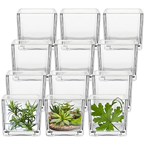 12 Pack Clear Square Glass Vases, Planter Terrarium Flowers Vase Candle Holder for Home,Garden, Wedding Centerpiece Decrations and Formal Dinners (Width 3″, Height 3″)
